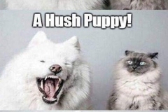 hushpuppy