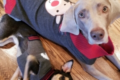 mia-and-josie-in-christmas-outfits